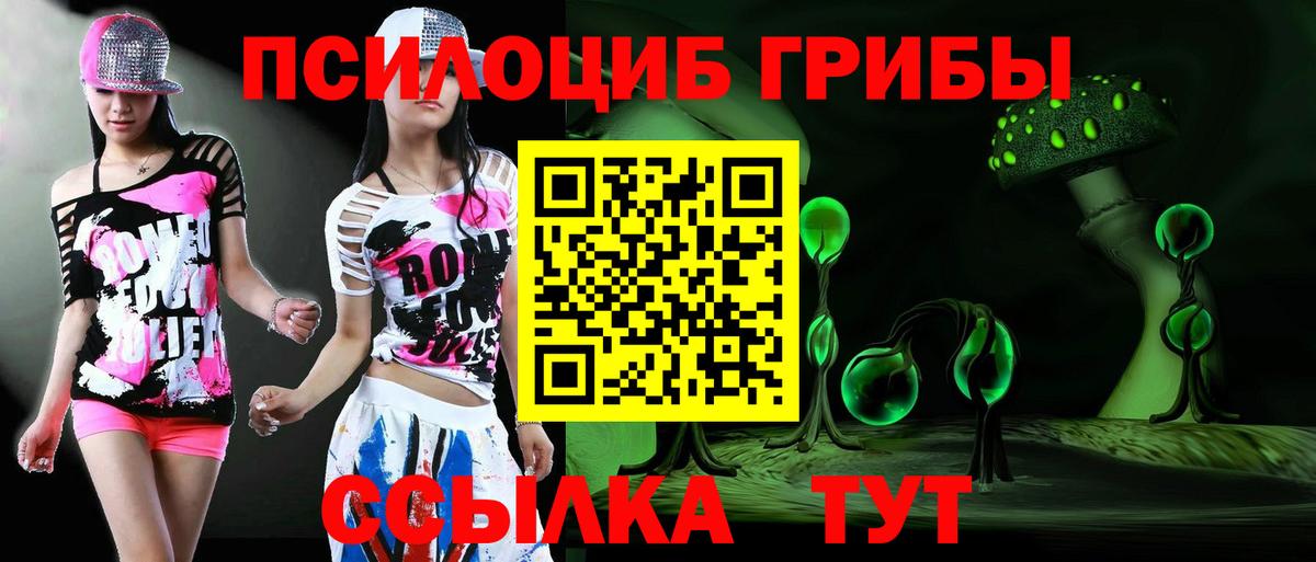 Галлюциногенные грибы Psilocybe  Галлюциногенные грибы MAGIC MUSHROOMS  Учалы  Вход с VPN 